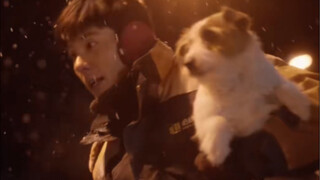 蒋奇明微博现状一览，怎么离了傅卫军还是个搞笑男啊？
