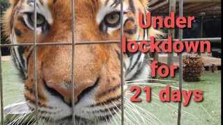 23 March 2020 Corona Lockdown from 27th