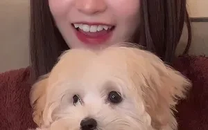 ชื่อ "โมชิตะ"! 🐶