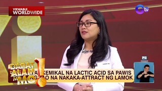 Mga dahilan kung bakit naaakit ang lamok lumapit sa isang tao, alamin | Dapat Alam Mo!