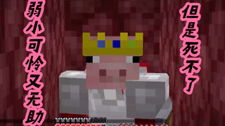 【熟肉】Technoblade地狱受苦之旅（Dream SMP）