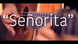 (คลิปการแสดงดนตรี) Señorita น่าฟังมาก เหมาะกับมือใหม่ มีเนื้อเพลง