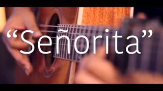 Senorita- Shawn Mendes & Camila Cabello Fingerstyle Guitar Cover