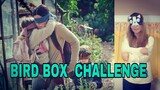 Bird Box Challenge