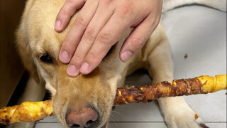 Is this because he is protecting his food or does he simply not like being patted on the head?