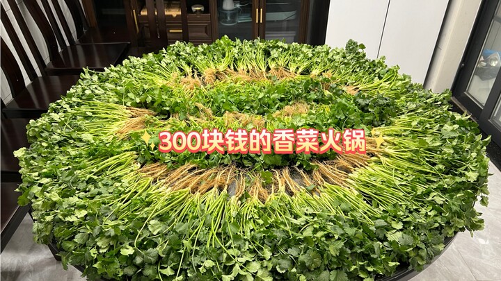 Tonight’s Feast: A 300-Yuan Cilantro Hot Pot!