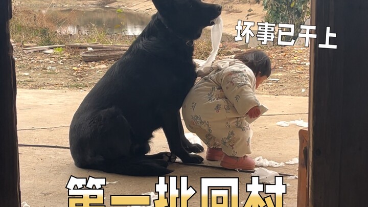 الوضع الحالي لأول دفعة من الكلاب والأطفال العائدين إلى القرية للاحتفال بالعام الصيني الجديد!