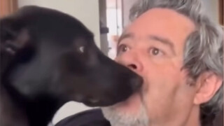 【Animal Dubbing】Dog: Bro, what did you just say?!