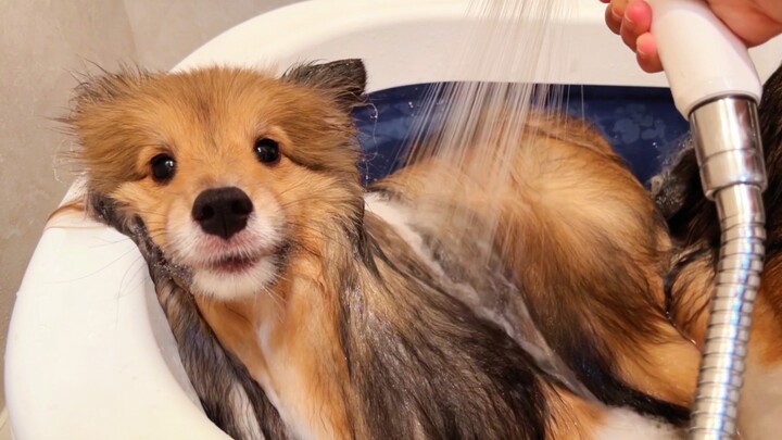 Reporting to Auntie, I haven’t taken a bath in a month.