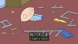 饺子Stewie和他的床经历了很多很多