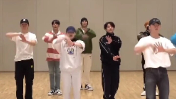 〔SEVENTEEN〕次人的不同风格舞蹈挑战