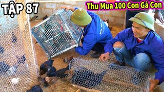 (Tập 87 ) Chăn Nuôi VIỆT NAM ở Châu Phi || Hành Trình Lên Núi Thu Mua Thêm 100 Con Gà Của Người Dân