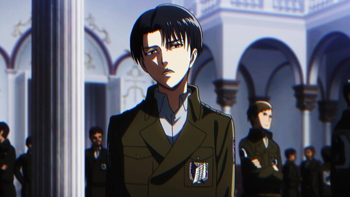 Levi, you need to be good-looking and good-looking, and you need to be tall and good-looking.