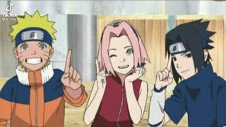 team 7