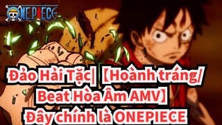 Đảo Hải Tặc|【Hoành tráng/Beat Hòa Âm AMV】Đây chính là ONEPIECE