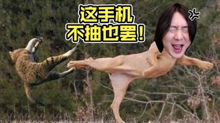输一把就送4台手机？笑死，我直接送走了我的老板