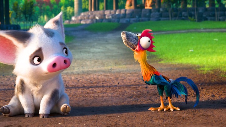 Sao lại có con gà tên là “Hám Hám” nhỉ?