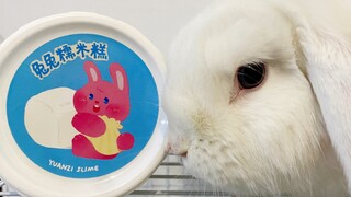 【Slime】Bunny Rice Cake, New Arrival of Yuanzi's