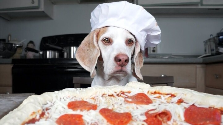 So với đầu bếp làm pizza