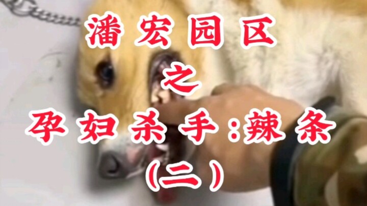 Pan Hong Park’s “Pregnant Women’s Killer”: Spicy Strip Snacks (Part 2)