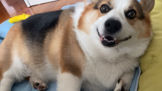 惊喜来的就是很突然