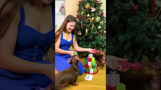 ОТКРЫЛИ ВМЕСТЕ С ЧАПИТОСИКАМИ АДВЕНТ КАЛЕНДАРЬ🥰🐶
