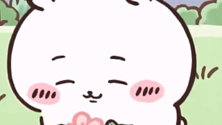 chiikawa之可爱的 吉伊宝宝