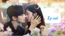 Yêu Thầm 10 Năm, Phó Tiên Sinh Xin Đừng Chống Cự ( Lý Trác Dương , Ngô Linh Vi ) Tập Cuối