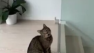 การออกแบบโดยมนุษย์ไม่เป็นมืออาชีพเกินไป