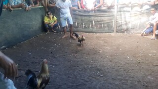 talisay vs talisay(tambovscabatuan)