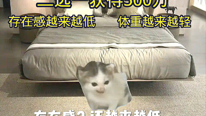 二选一获得500万