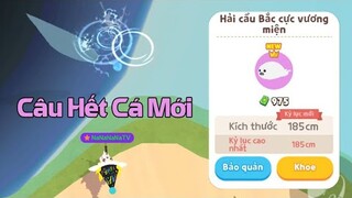 Câu Toàn Bộ Cá Mới Trong Play Together | Thời Gian - Địa Điểm - Bóng Mấy