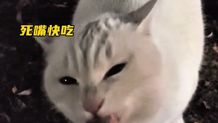 People can cry in Mi's broad chest.