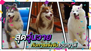 กีฬารวมญาติ ข้าวนึ่ง ข้าวสาก ข้าวต้มมัด ผู้ชนะจะเป็นใคร??? - ข้าวนึ่ง & เดอะแก๊ง