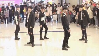 【ENHYPEN】Does such a handsome guy really exist? ! ! Drunk-Dazed Roadshow Cover Dance | Sing and Danc
