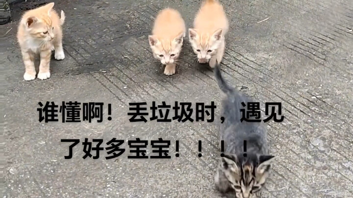มีใครเข้าใจบ้าง…ตอนไปทิ้งขยะ กลับเจอเจ้าตัวเล็กเพียบ!