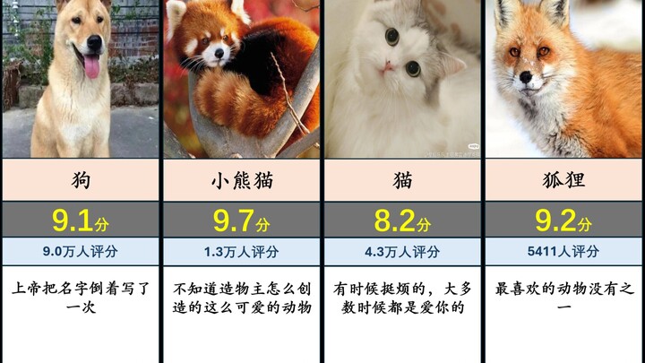 Peringkat Penilaian Hewan Favorit Manusia