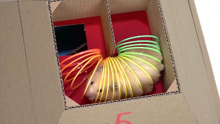 Hamster di labirin piramida enam lantai