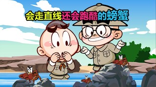 【唐唐】涨知识！会跑酷的红石蟹