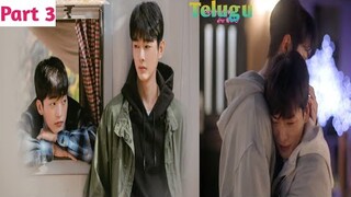 Cherry Blossom after winter Part-3 || Korean bl drama explained in Telugu ||