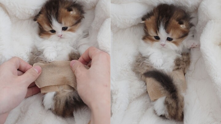 Baby you are a mermaid!