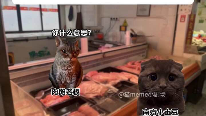 当南方小土豆第一次去北方菜市场买菜