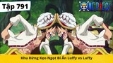 One Piece Tập 791: Khu rừng kẹo ngọt bí ẩn Luffy vs Luffy (Tóm Tắt Đảo Hải Tặc)