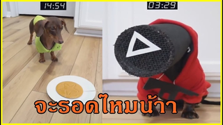 รวมคลิปตลกๆ :จะรอดไหมนะ!!