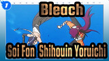 [Bleach/Soi Fon&Shihouin Yoruichi] How Much I Loved You Before, How Much I Hate You Now_1