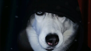 Wanita hanya akan memengaruhi kecepatan saya dalam merusak rumah