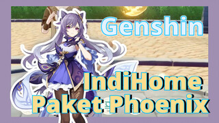 IndiHome Paket Phoenix