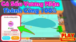 Play Together | Câu Cá Sấu Vương Miện Thành Công 100%, Hãy Đến Nhà Mạnh Để Mang Cá Sấu Về Nhaaaa ^^