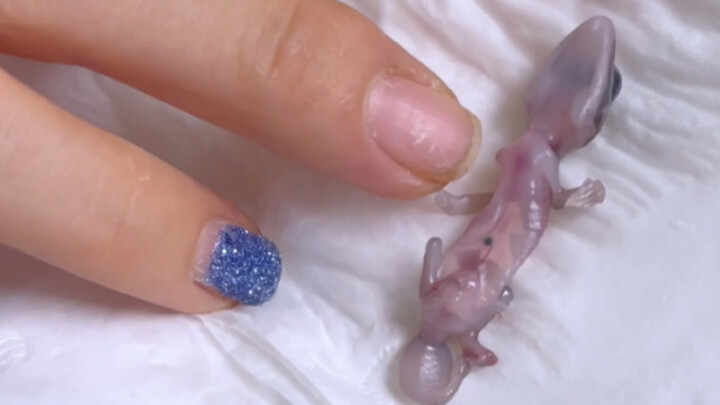 My heart’s in my throat!