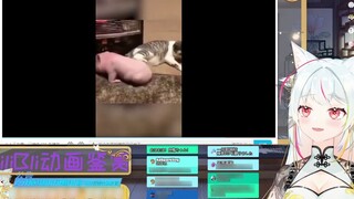 Serigala Genki Jepang menonton "Master Zone UP Hewan Peliharaan Lucu"